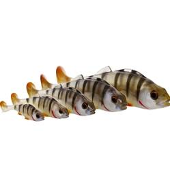 Westin Original Perch Shadtail Single Lures